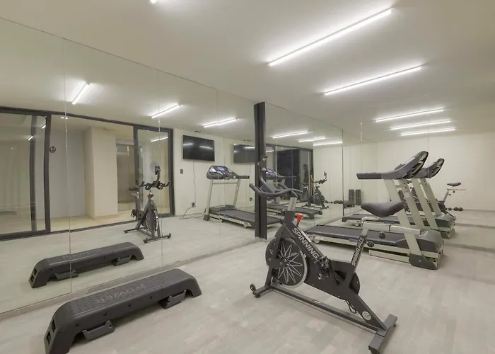 Aristoteles Polanco Apartment Mexico City